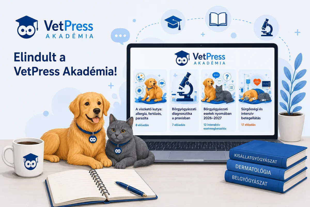 Elindult a VetPress Akadémia